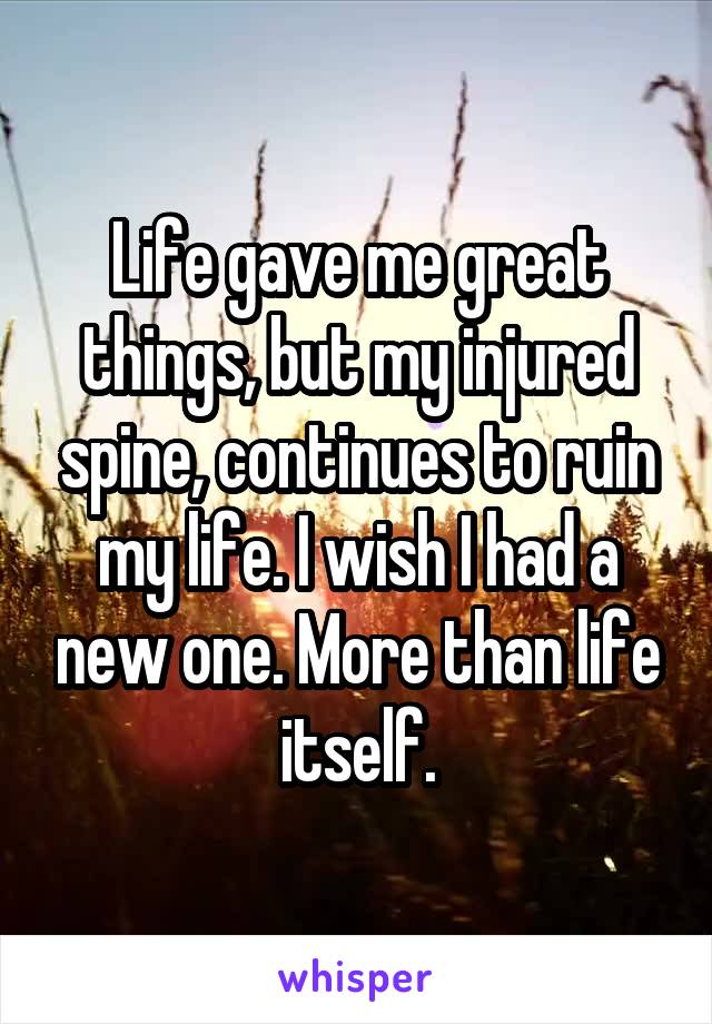Life gave me great things, but my injured spine, continues to ruin my life. I wish I had a new one. More than life itself.