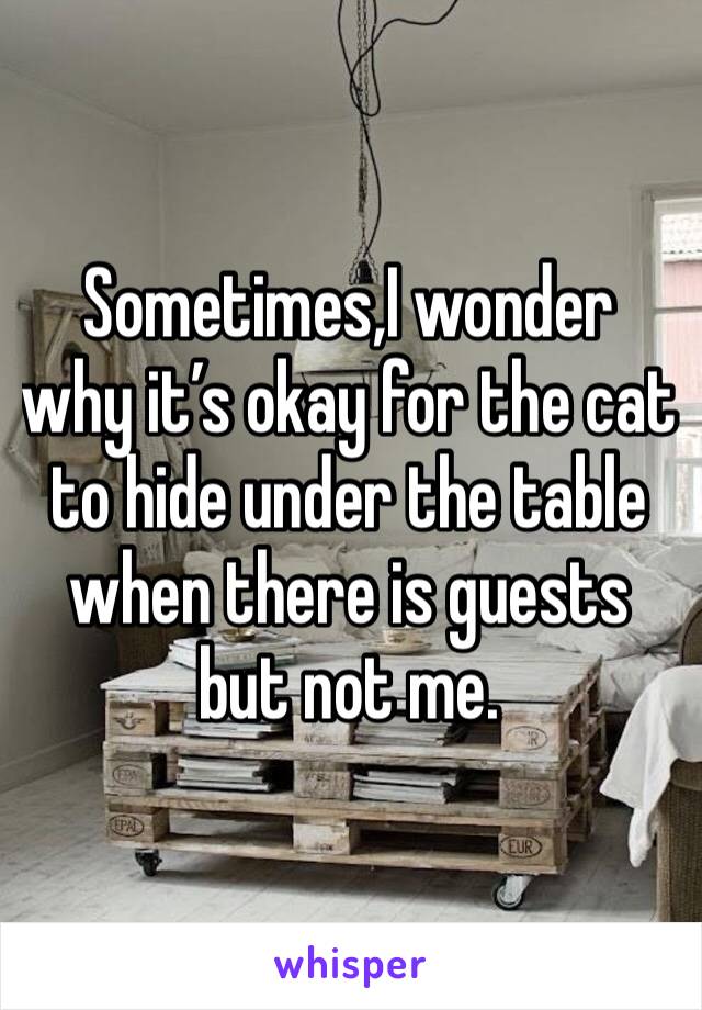 Sometimes,I wonder why it’s okay for the cat to hide under the table when there is guests but not me.