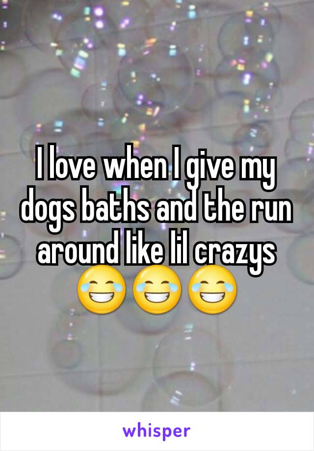 I love when I give my dogs baths and the run around like lil crazys 😂😂😂