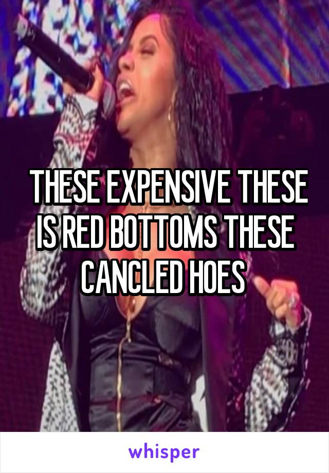  THESE EXPENSIVE THESE IS RED BOTTOMS THESE CANCLED HOES 