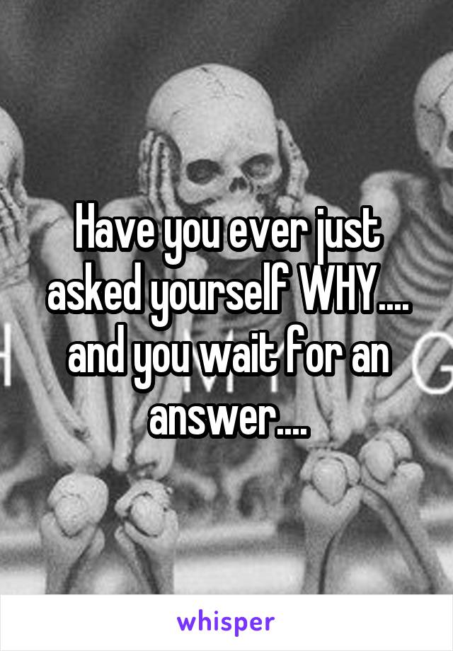 Have you ever just asked yourself WHY.... and you wait for an answer....