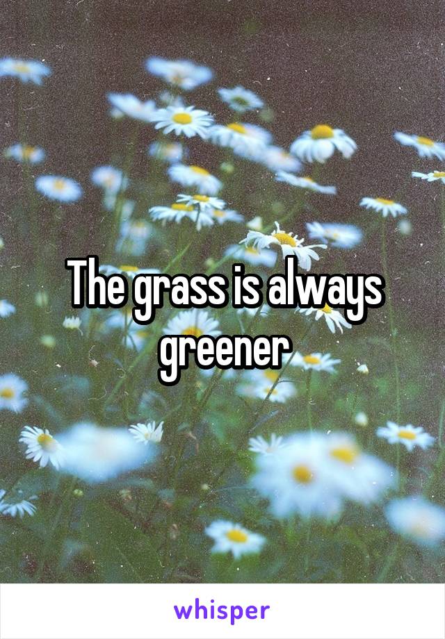The grass is always greener