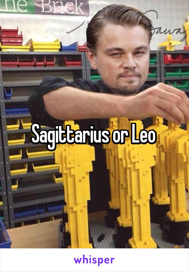 Sagittarius or Leo 
