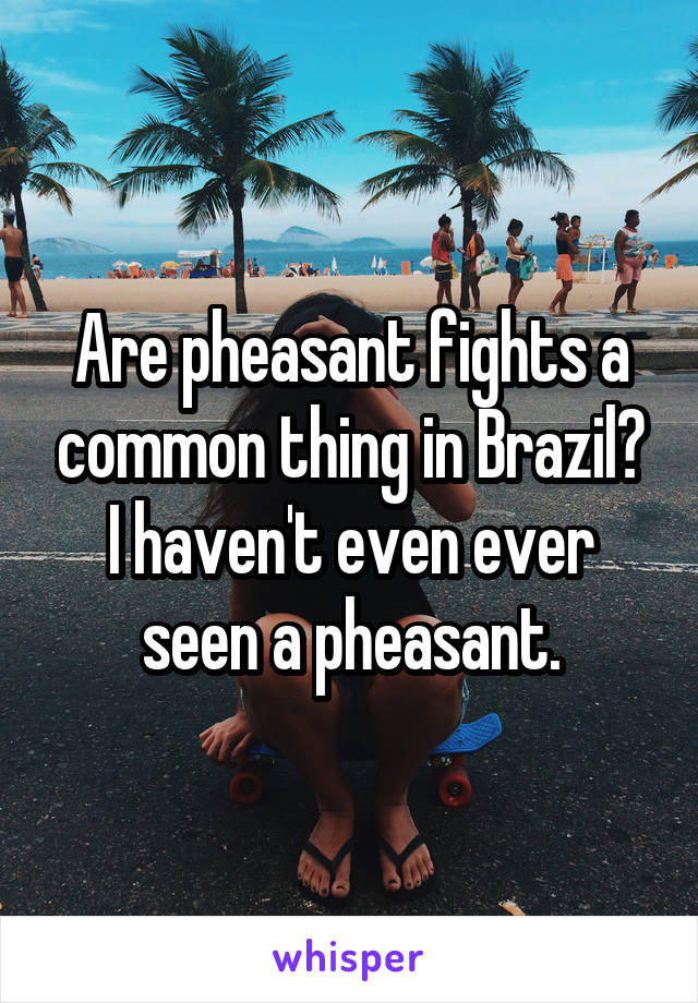 Are pheasant fights a common thing in Brazil? I haven't even ever seen a pheasant.