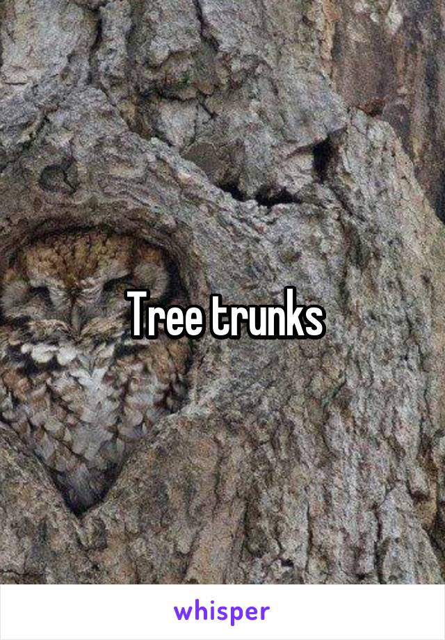 Tree trunks