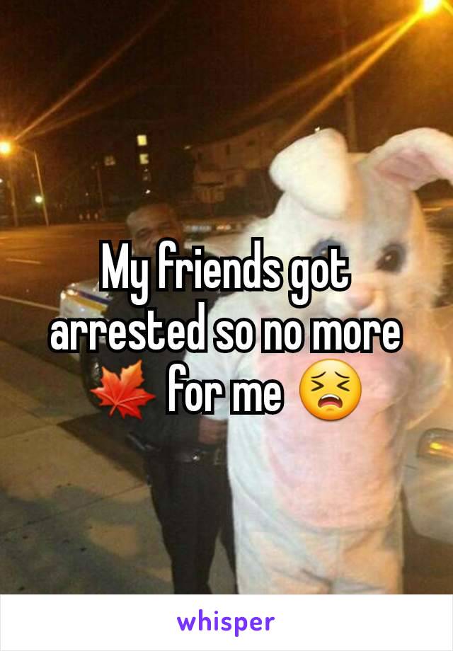 My friends got arrested so no more 🍁 for me 😣