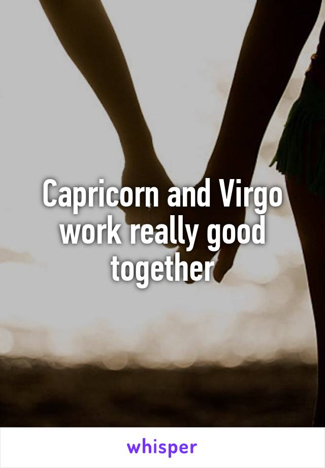 Capricorn and Virgo work really good together