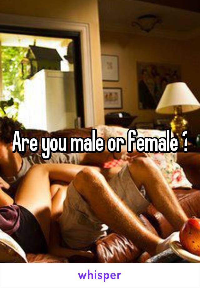 Are you male or female ?