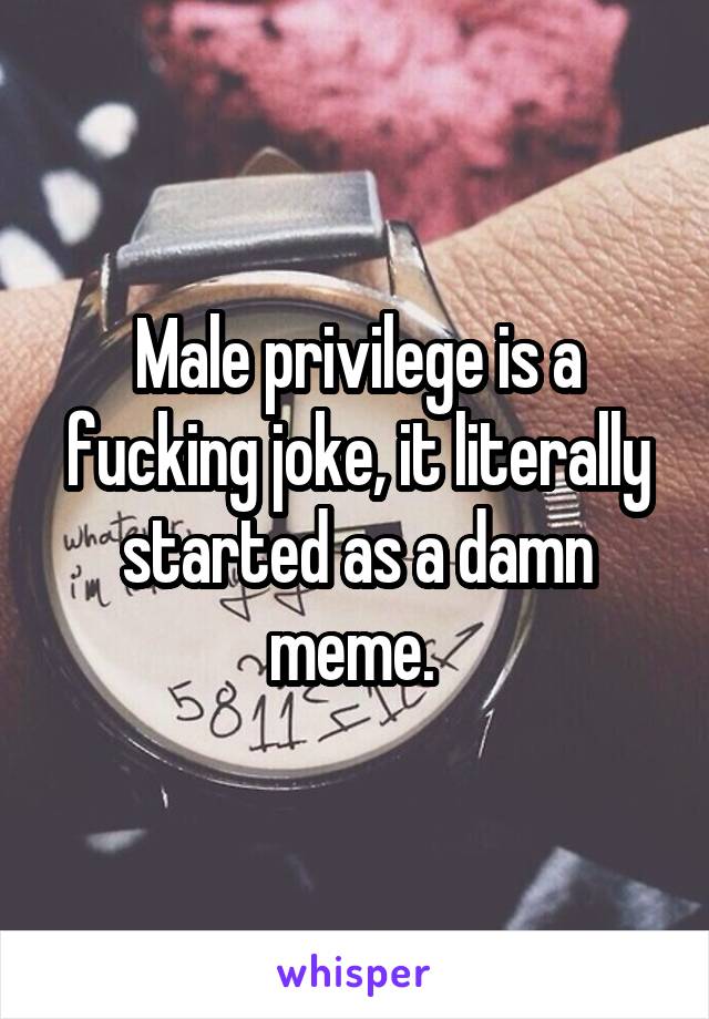 Male privilege is a fucking joke, it literally started as a damn meme. 