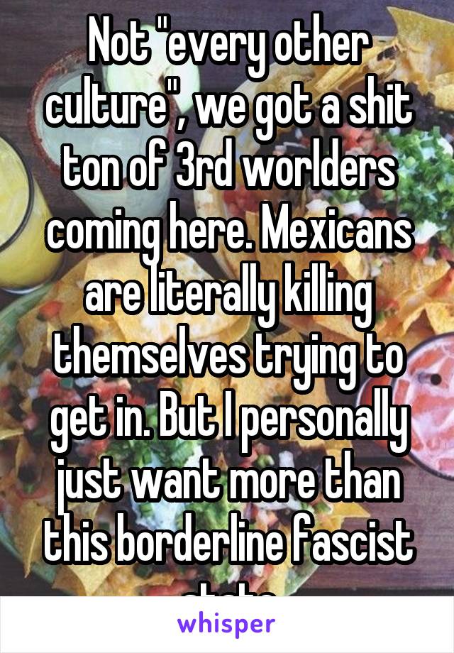 Not "every other culture", we got a shit ton of 3rd worlders coming here. Mexicans are literally killing themselves trying to get in. But I personally just want more than this borderline fascist state