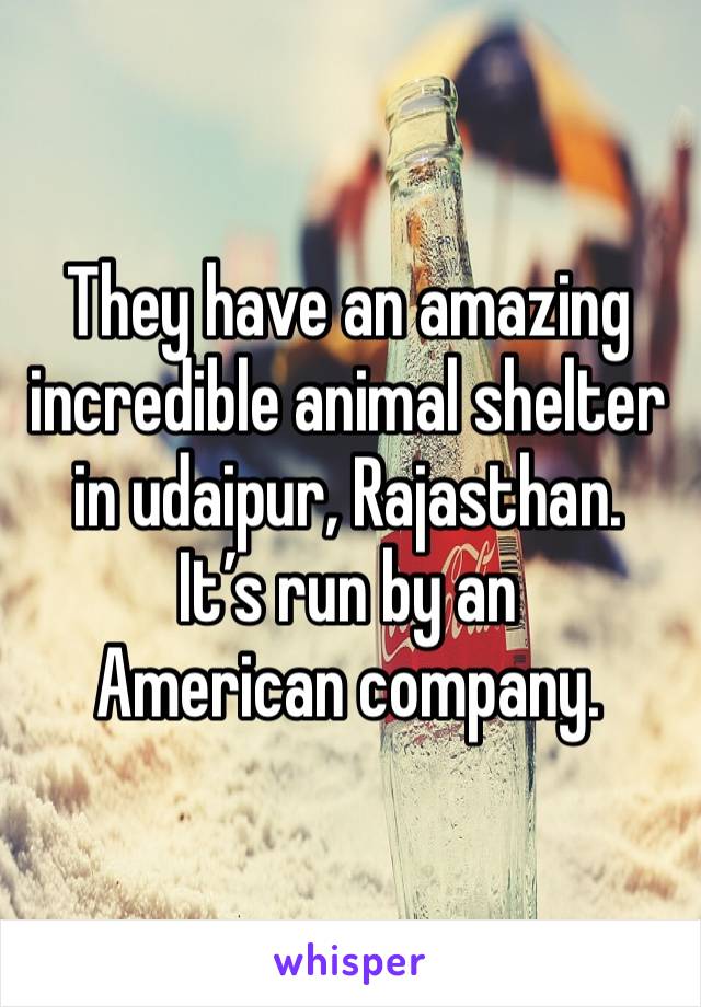 They have an amazing incredible animal shelter in udaipur, Rajasthan.
It’s run by an American company.