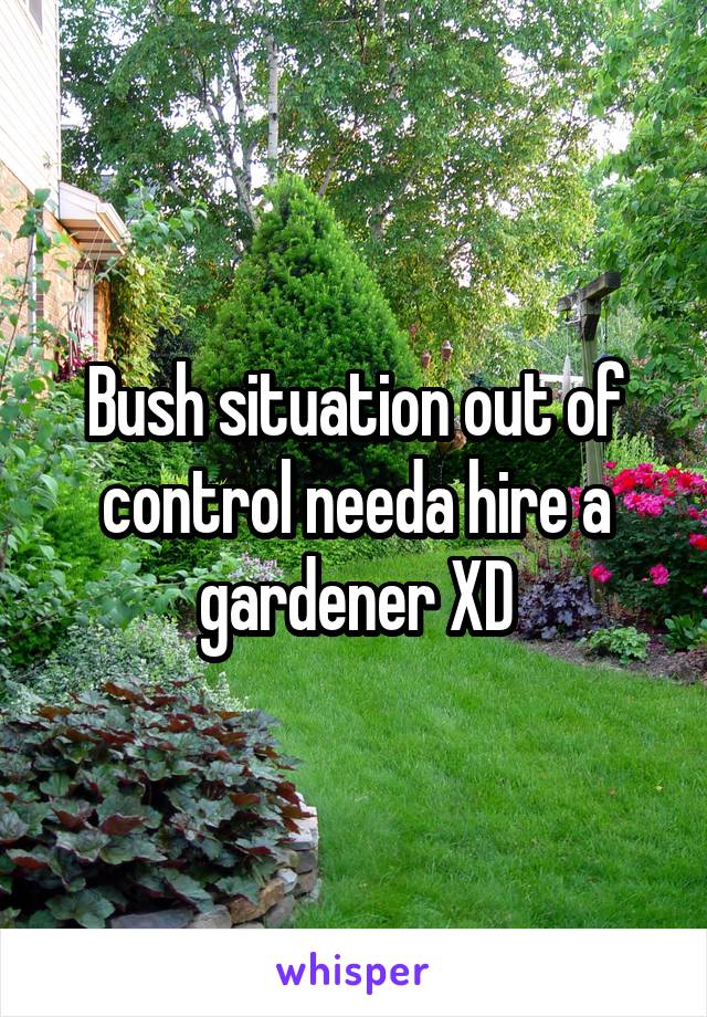 Bush situation out of control needa hire a gardener XD