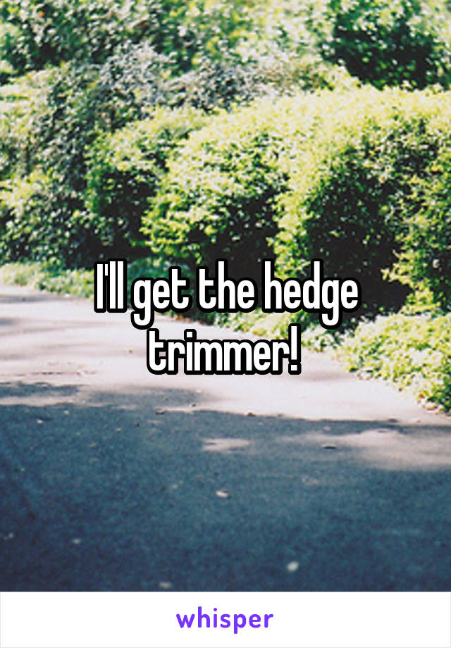 I'll get the hedge trimmer! 