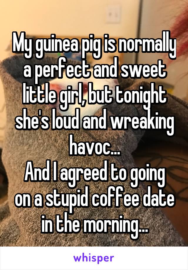 My guinea pig is normally a perfect and sweet little girl, but tonight she's loud and wreaking havoc...
And I agreed to going on a stupid coffee date in the morning...