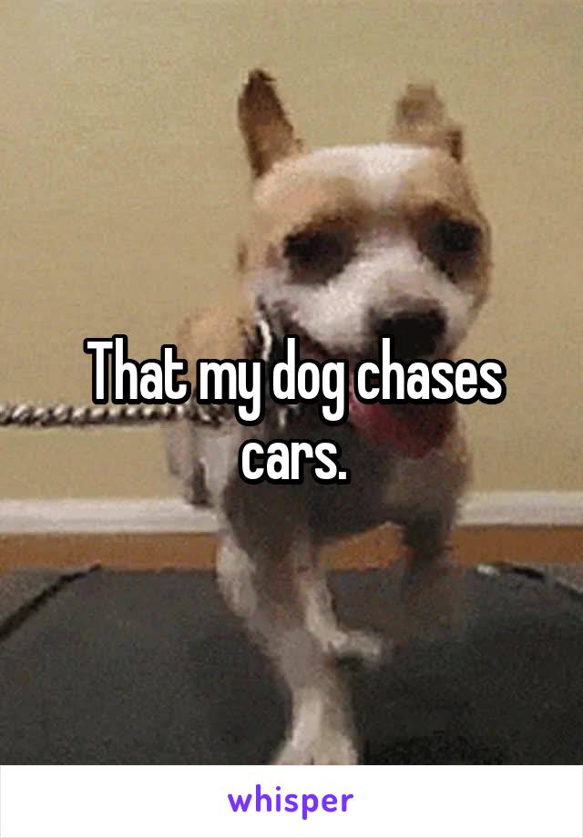 That my dog chases cars.