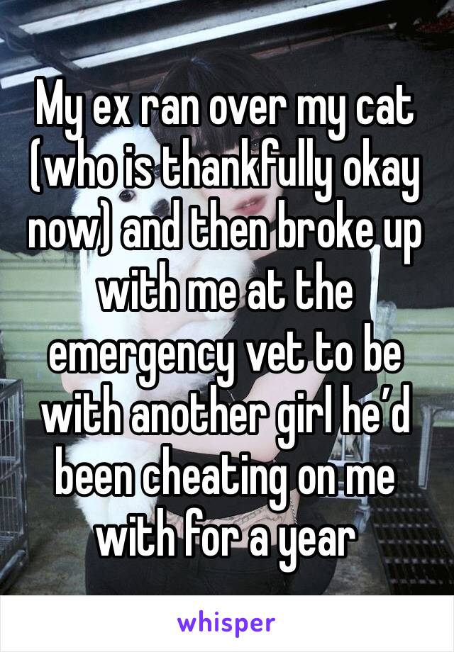 My ex ran over my cat (who is thankfully okay now) and then broke up with me at the emergency vet to be with another girl he’d been cheating on me with for a year