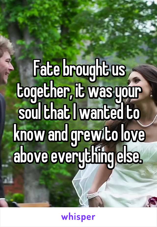 Fate brought us together, it was your soul that I wanted to know and grew to love above everything else. 