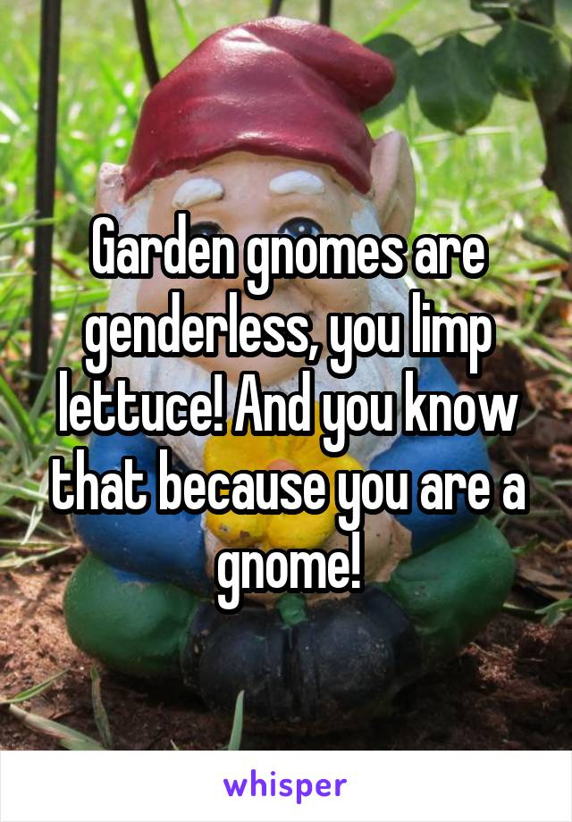 Garden gnomes are genderless, you limp lettuce! And you know that because you are a gnome!