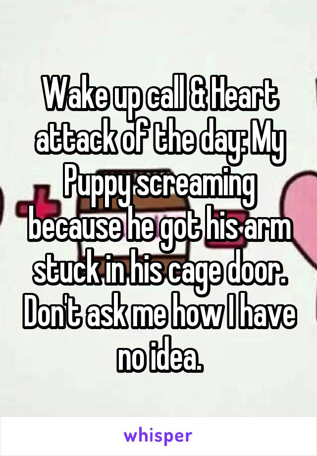 Wake up call & Heart attack of the day: My Puppy screaming because he got his arm stuck in his cage door. Don't ask me how I have no idea.