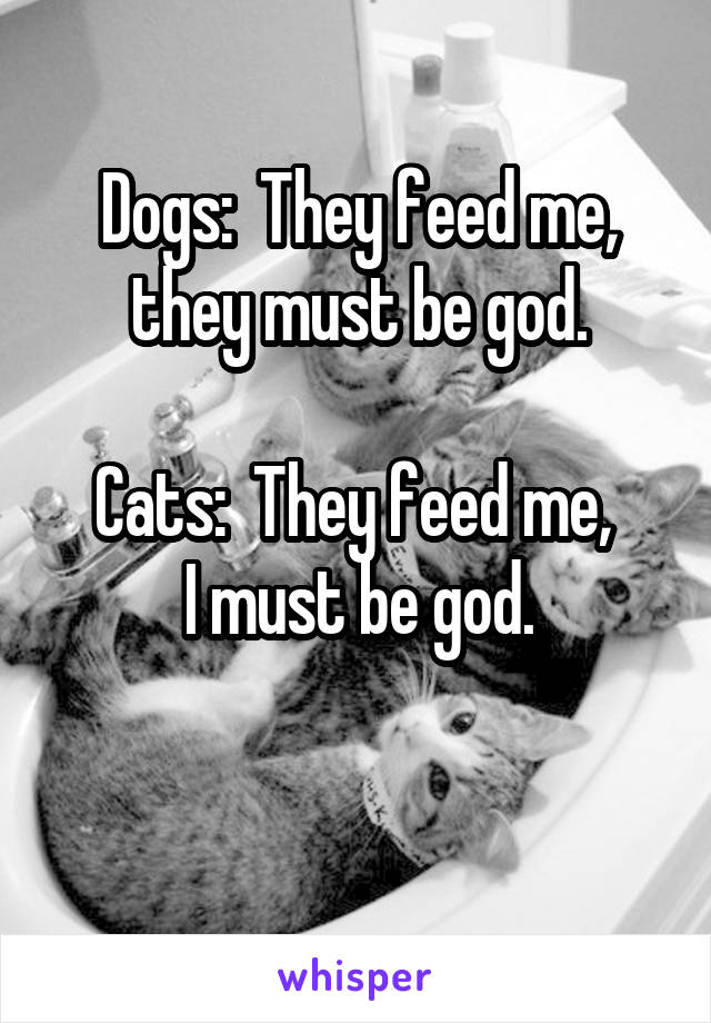 Dogs:  They feed me, they must be god.

Cats:  They feed me, 
I must be god.

