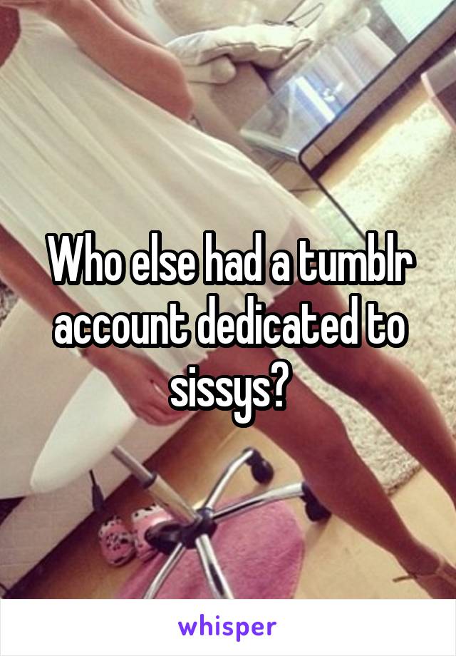 Who else had a tumblr account dedicated to sissys?