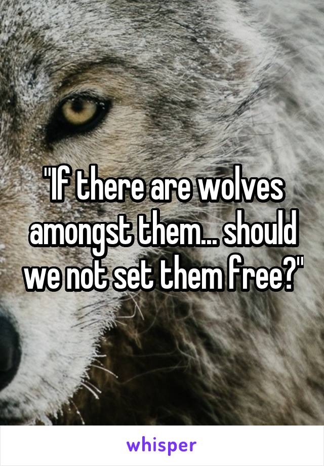 "If there are wolves amongst them... should we not set them free?"