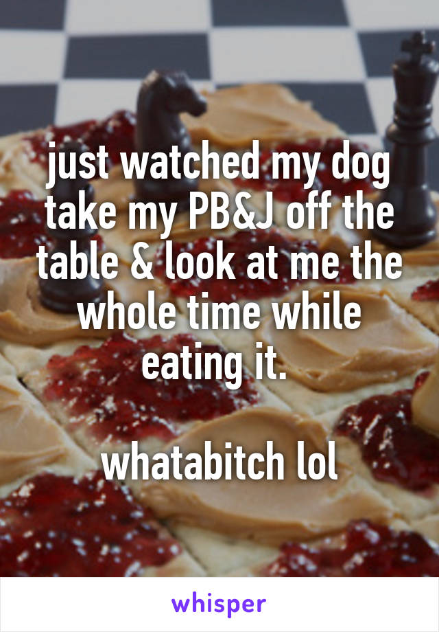 just watched my dog take my PB&J off the table & look at me the whole time while eating it. 

whatabitch lol