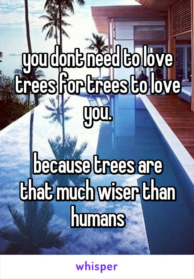 you dont need to love trees for trees to love you.

because trees are that much wiser than humans