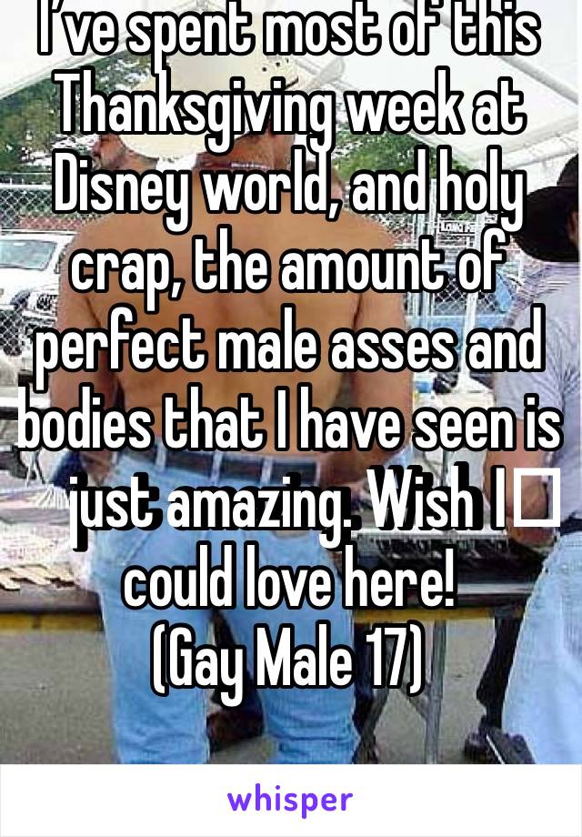 I’ve spent most of this Thanksgiving week at Disney world, and holy crap, the amount of perfect male asses and bodies that I have seen is just amazing. Wish I️ could love here!
(Gay Male 17)