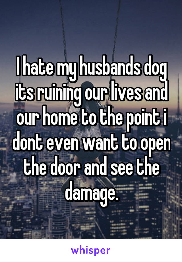 I hate my husbands dog its ruining our lives and our home to the point i dont even want to open the door and see the damage.