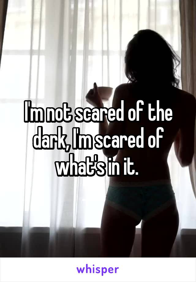 I'm not scared of the dark, I'm scared of what's in it. 