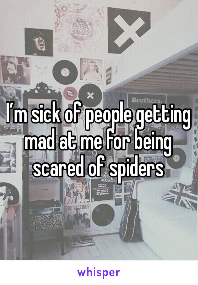 I’m sick of people getting mad at me for being scared of spiders