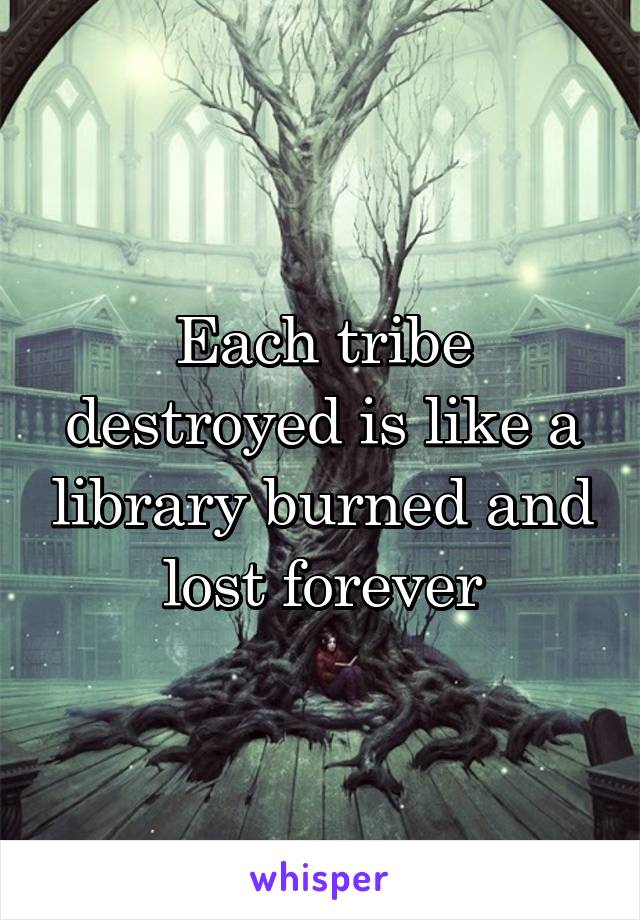 Each tribe destroyed is like a library burned and lost forever