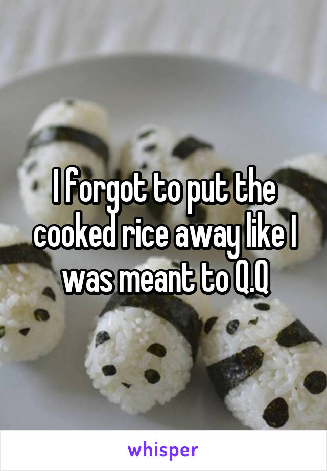 I forgot to put the cooked rice away like I was meant to Q.Q