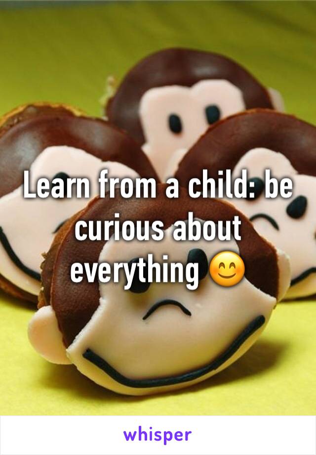 Learn from a child: be curious about everything 😊