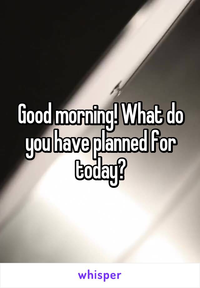 Good morning! What do you have planned for today?