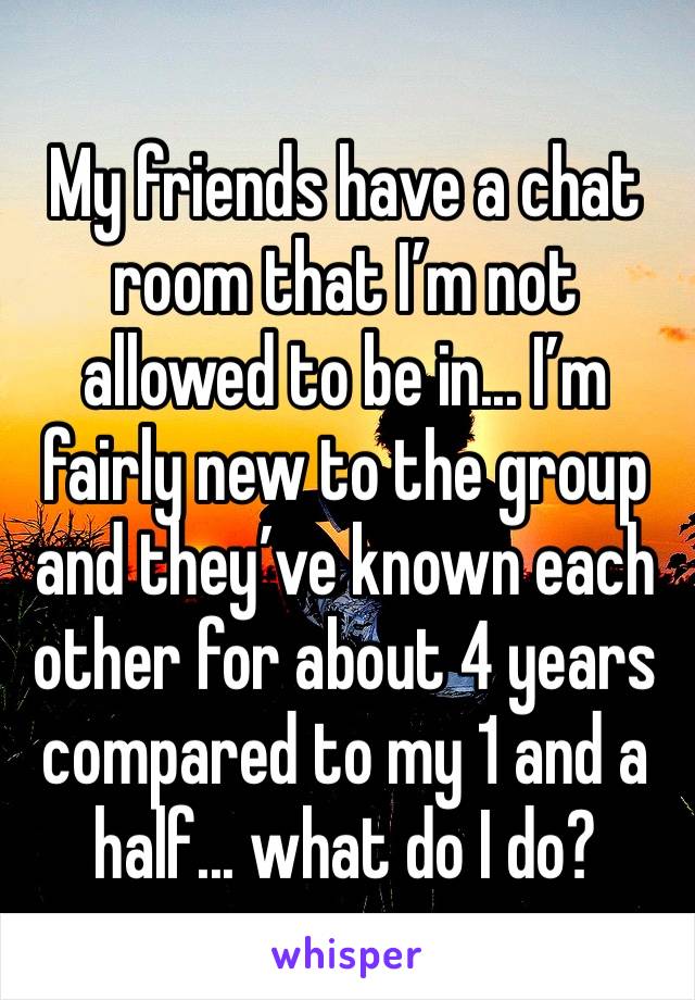 My friends have a chat room that I’m not allowed to be in... I’m fairly new to the group and they’ve known each other for about 4 years compared to my 1 and a half... what do I do?