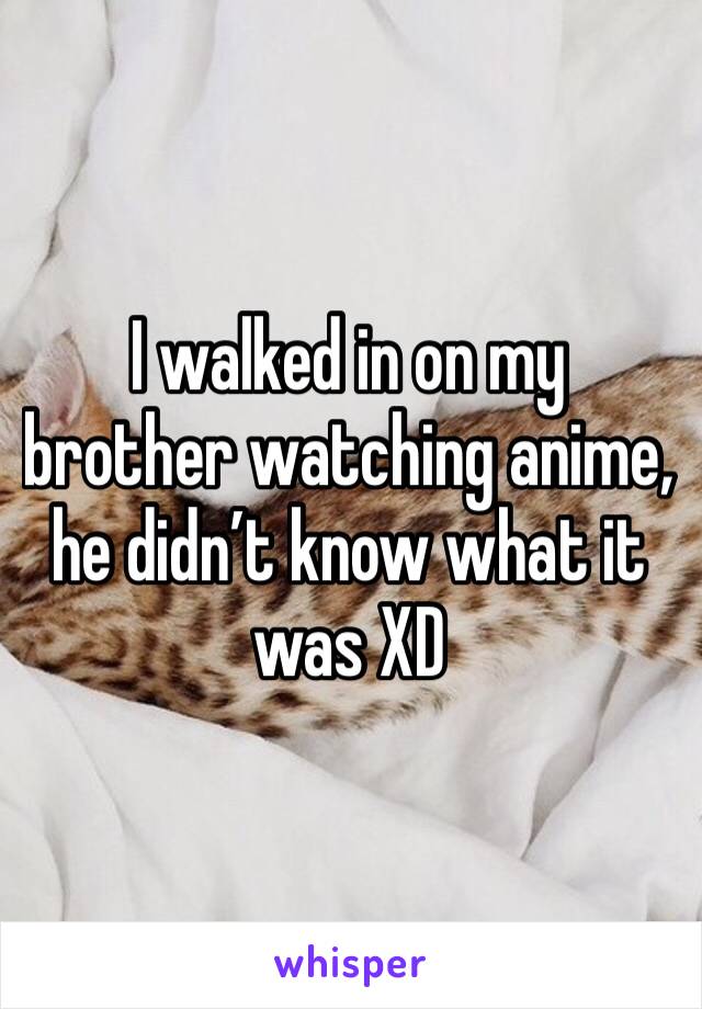 I walked in on my brother watching anime, he didn’t know what it was XD