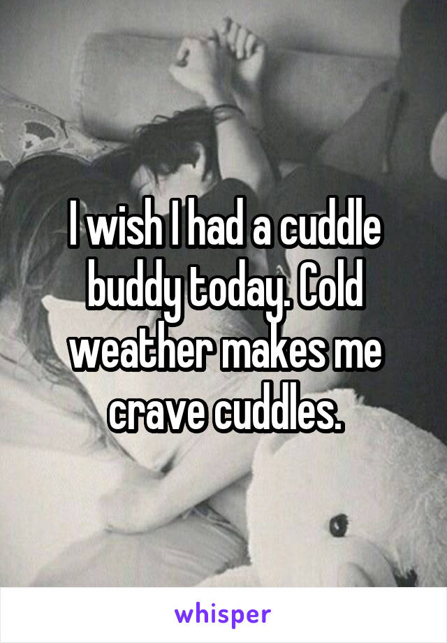 I wish I had a cuddle buddy today. Cold weather makes me crave cuddles.