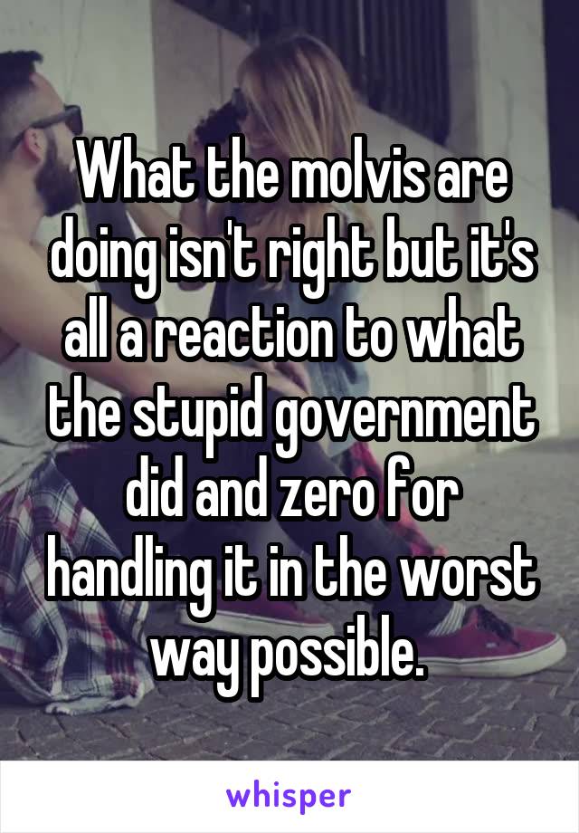 What the molvis are doing isn't right but it's all a reaction to what the stupid government did and zero for handling it in the worst way possible. 