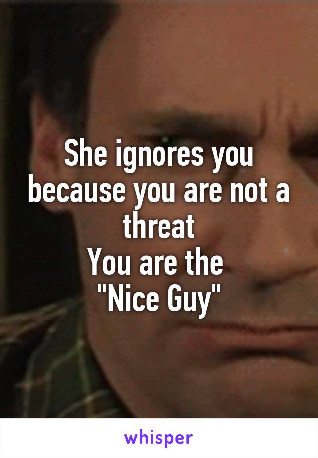 She ignores you because you are not a threat
You are the 
"Nice Guy"