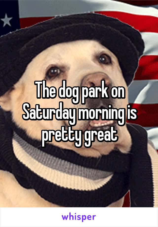 The dog park on Saturday morning is pretty great