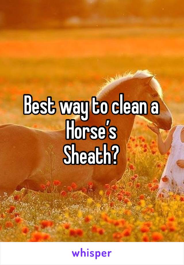 Best way to clean a 
Horse’s 
Sheath?