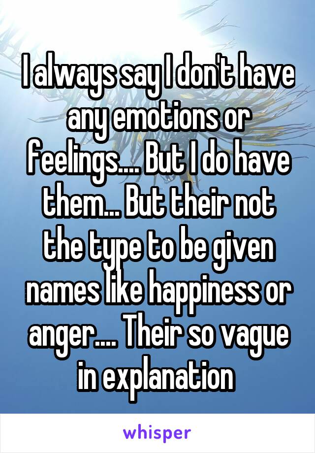 I always say I don't have any emotions or feelings.... But I do have them... But their not the type to be given names like happiness or anger.... Their so vague in explanation 