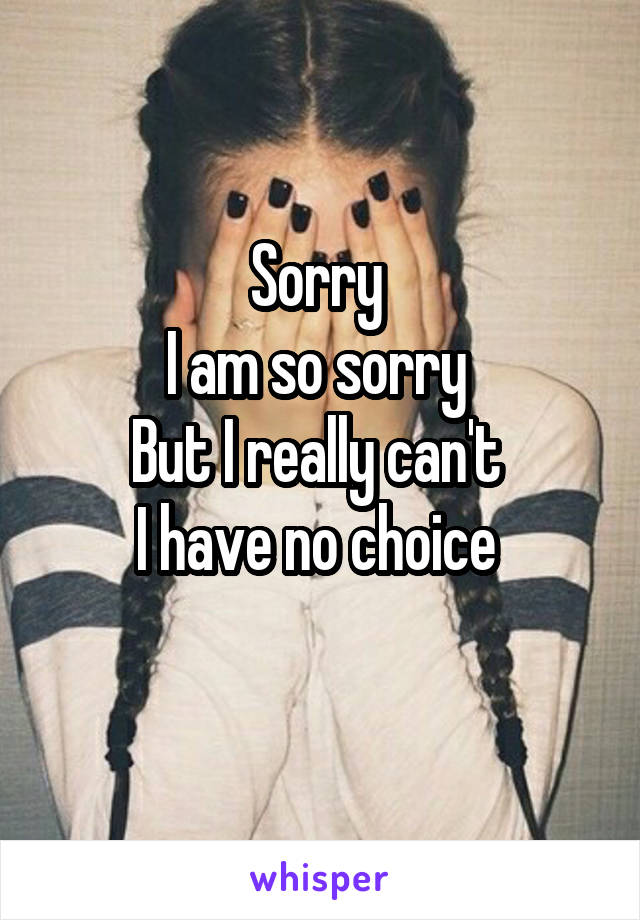 Sorry 
I am so sorry 
But I really can't 
I have no choice 
