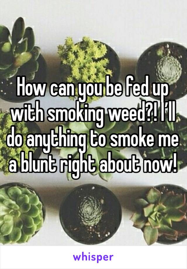 How can you be fed up with smoking weed?! I’ll do anything to smoke me a blunt right about now!