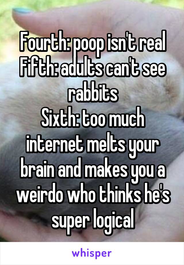 Fourth: poop isn't real
Fifth: adults can't see rabbits
Sixth: too much internet melts your brain and makes you a weirdo who thinks he's super logical