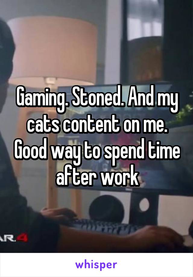 Gaming. Stoned. And my cats content on me. Good way to spend time after work