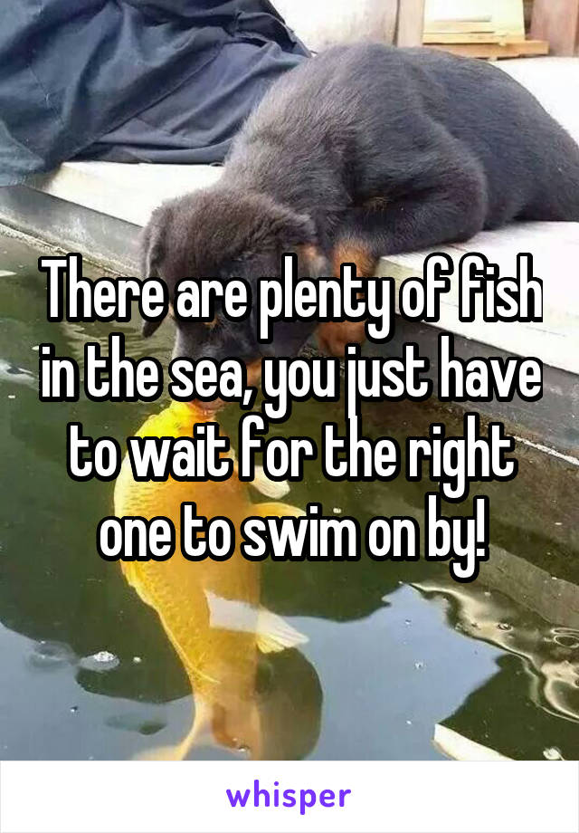 There are plenty of fish in the sea, you just have to wait for the right one to swim on by!