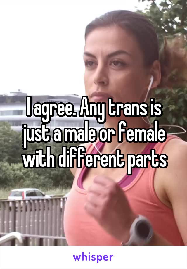 I agree. Any trans is just a male or female with different parts